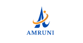 Amruni IT Solutions Privated Limited 